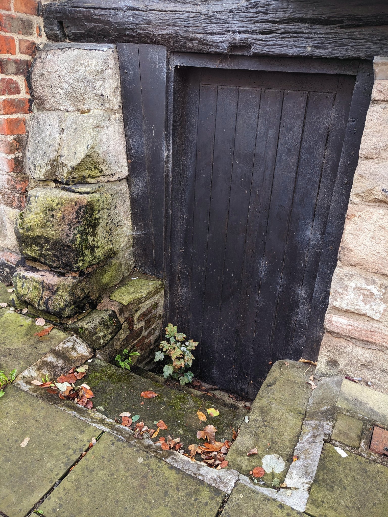 Congleton News and Views | Congleton - medieval basement cellar | Facebook