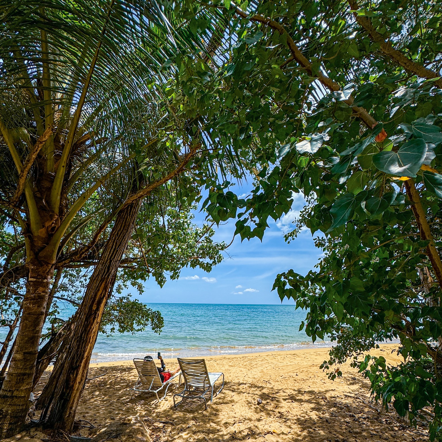 Rincon Beach Resort | Anasco