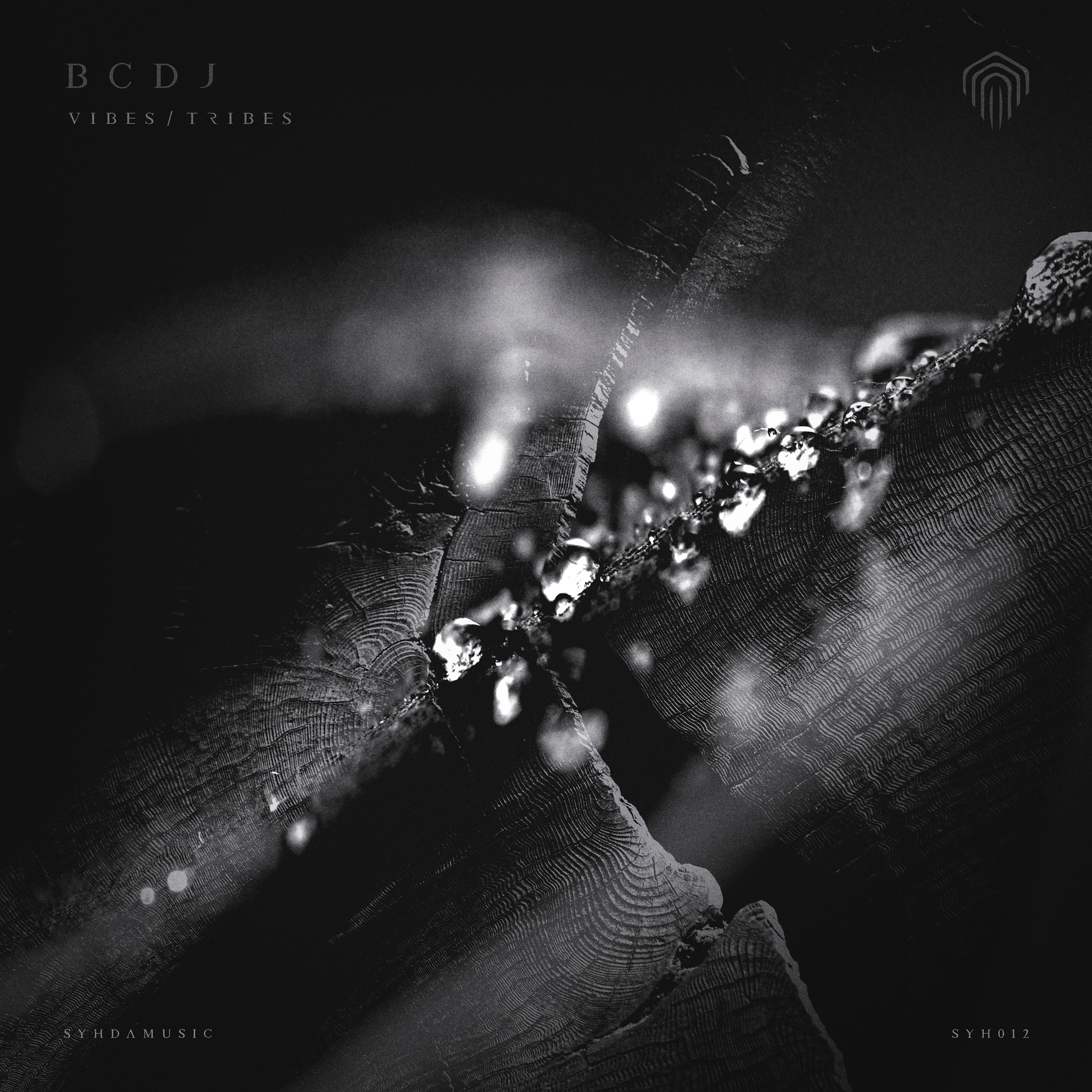 SYHDA - 🔥 BCDJ - VIBES / TRIBES [SYH012] 🔥 We welcome to the label the ...
