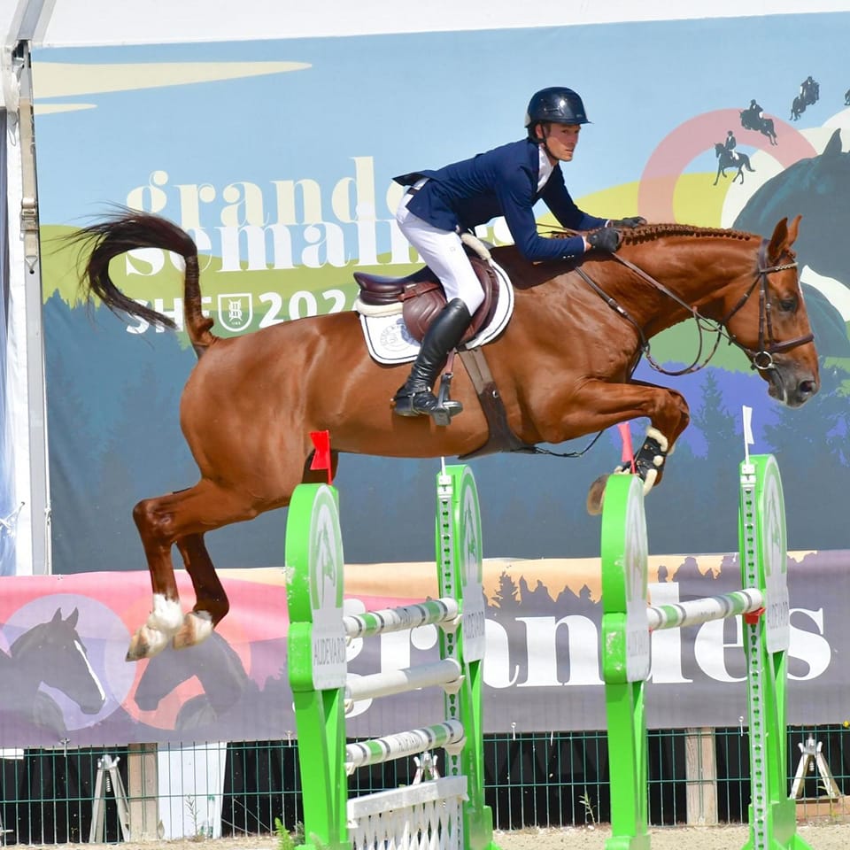 Haras de la Vallée - Notre Dame d'Estrées - [RÉSULTATS] Pierre-alexis ...