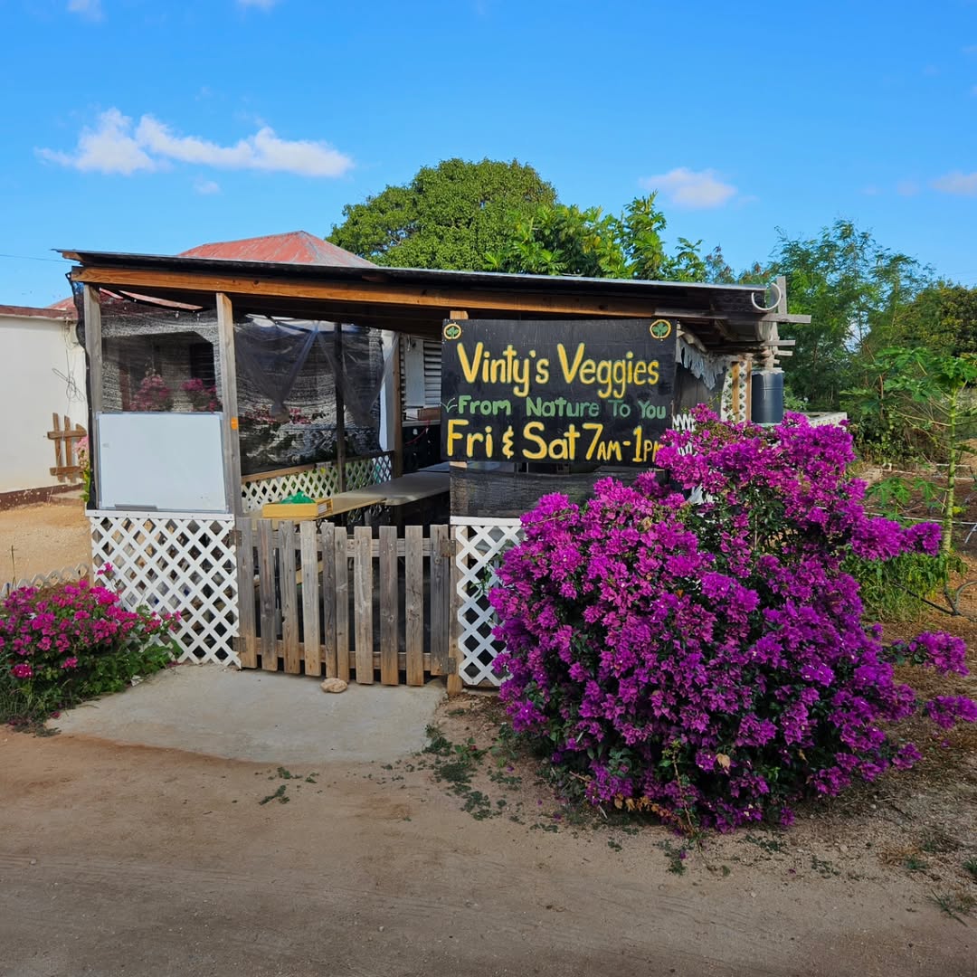 Anguilla - Vinty’s Veggies is Anguilla’s go-to spot for fresh, local ...