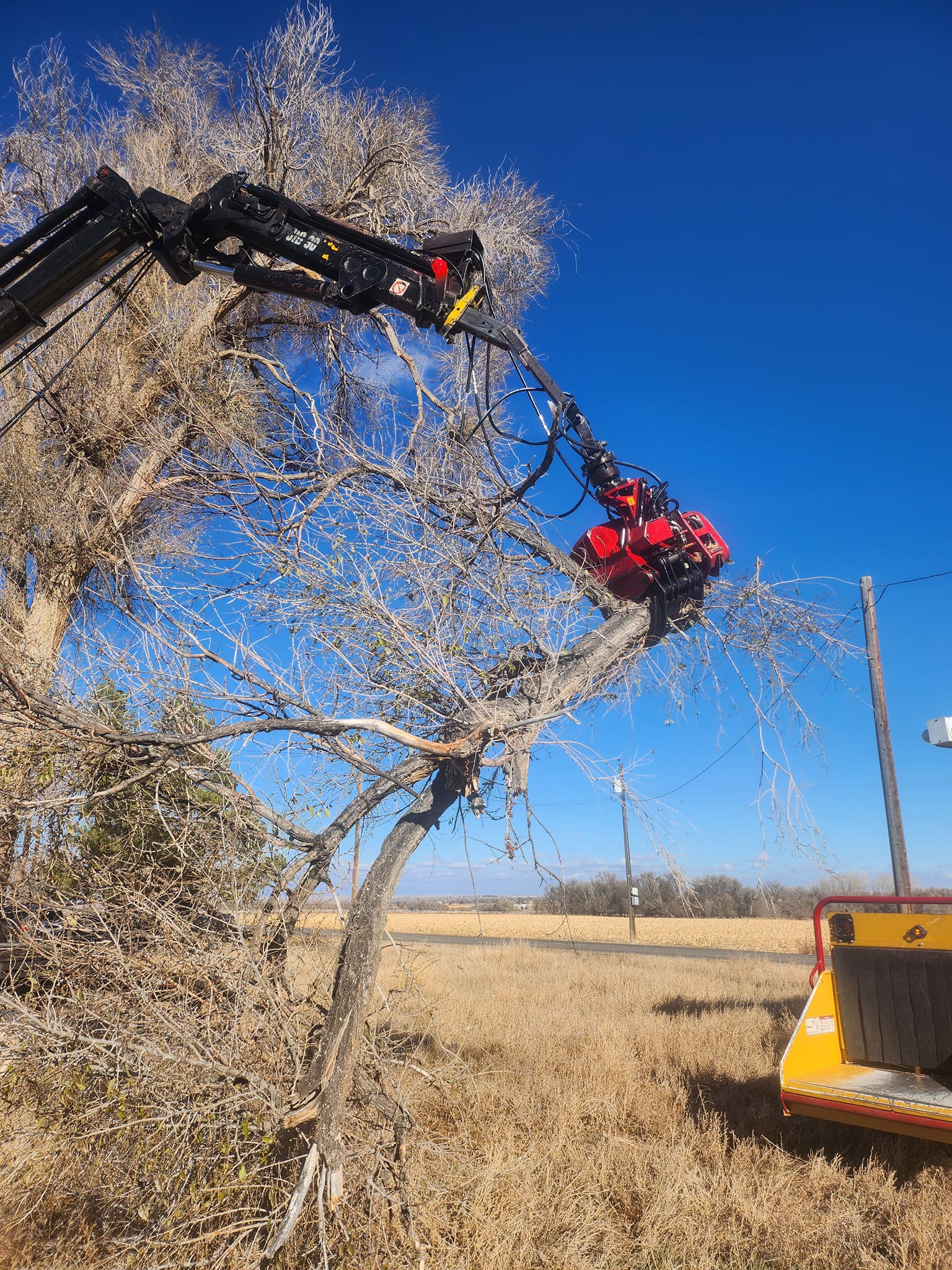 Apex Tree and Crane | Pueblo CO