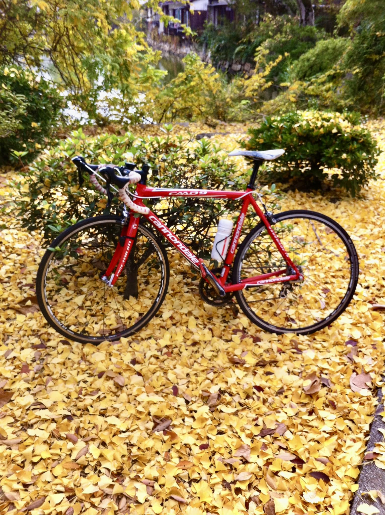 郵便自転車