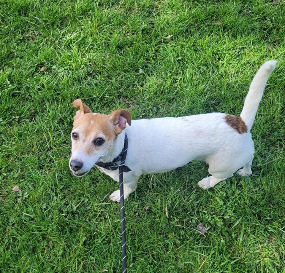 Rochdale - Aunty Wendy took Tilly out at the weekend ️ 