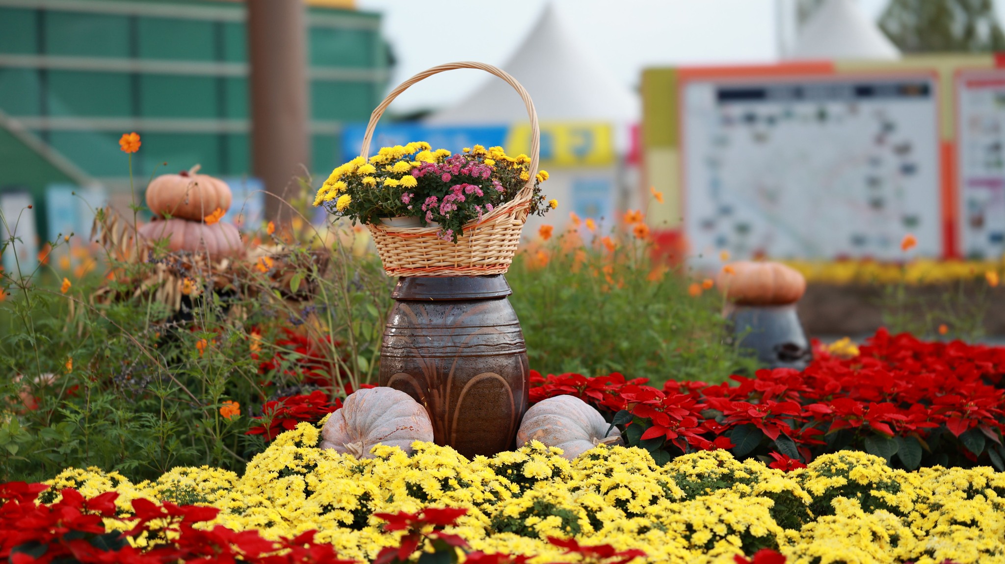 Planting Bulbs for Seasonal Displays