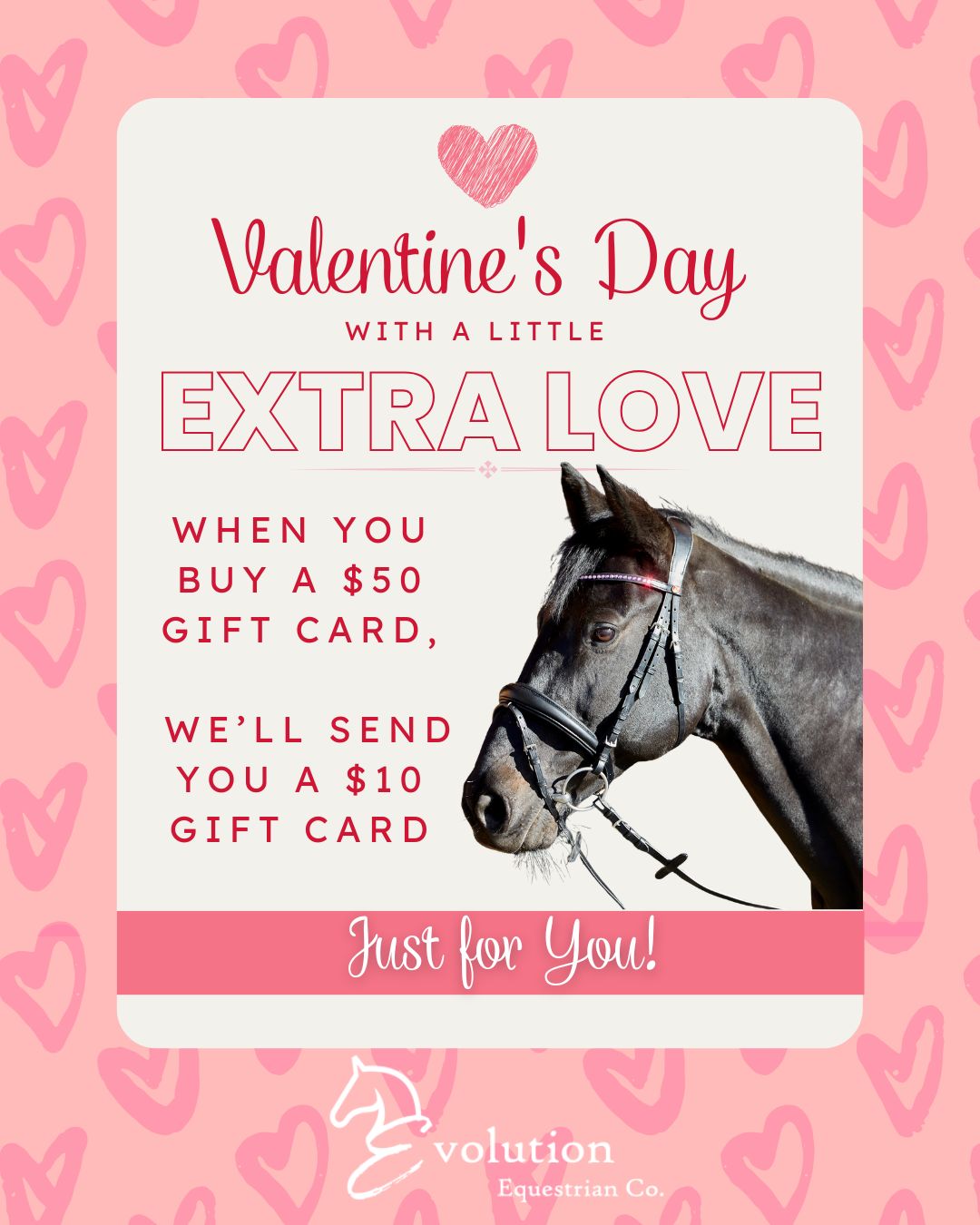 Valentine's Day Horse Funny Gift For Horse Lover, Equestrian Poster