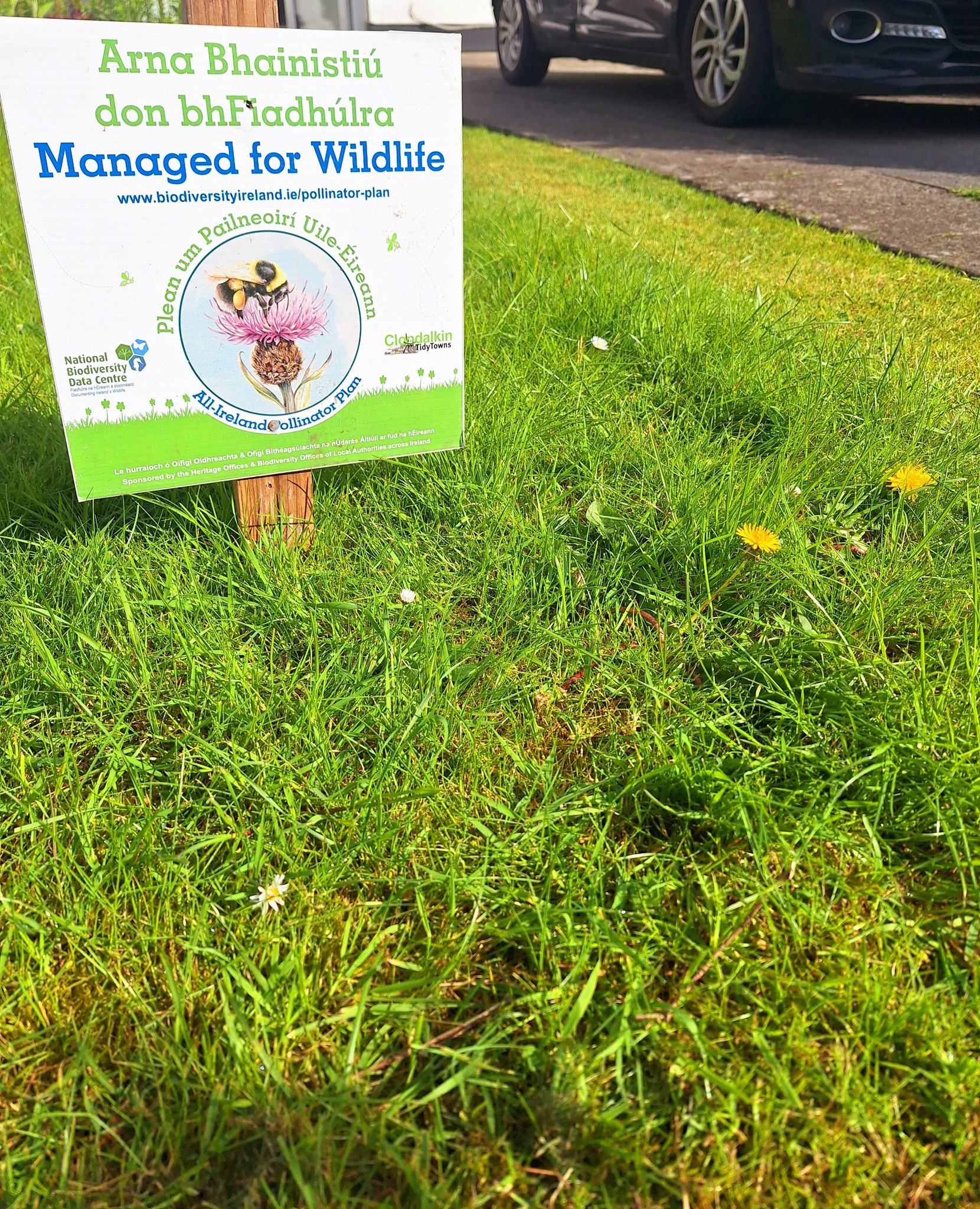 Saggart Tidy Towns