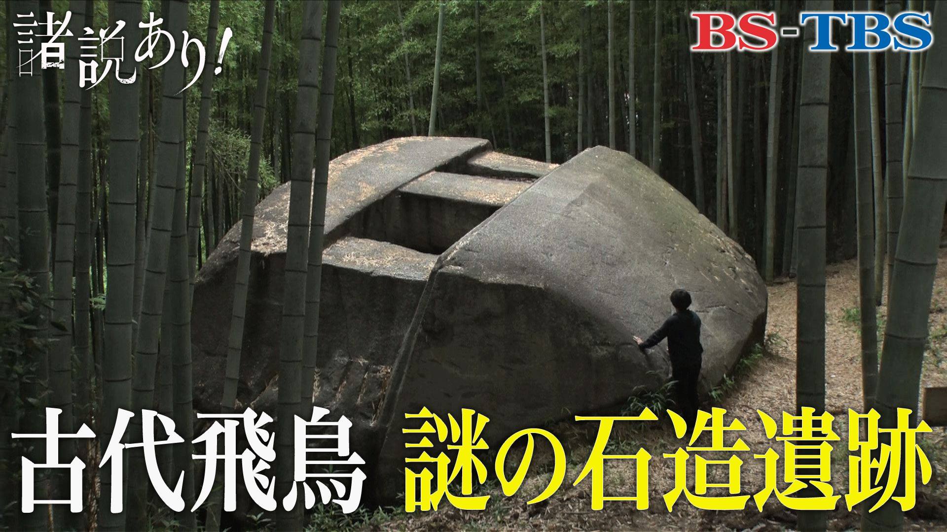 諸説 あり と は