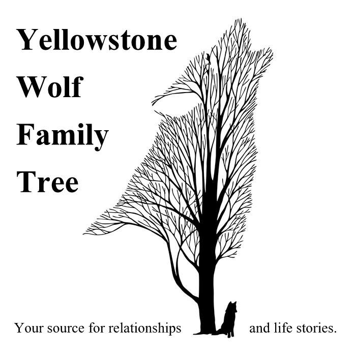 Yellowstone Wolf Family Tree