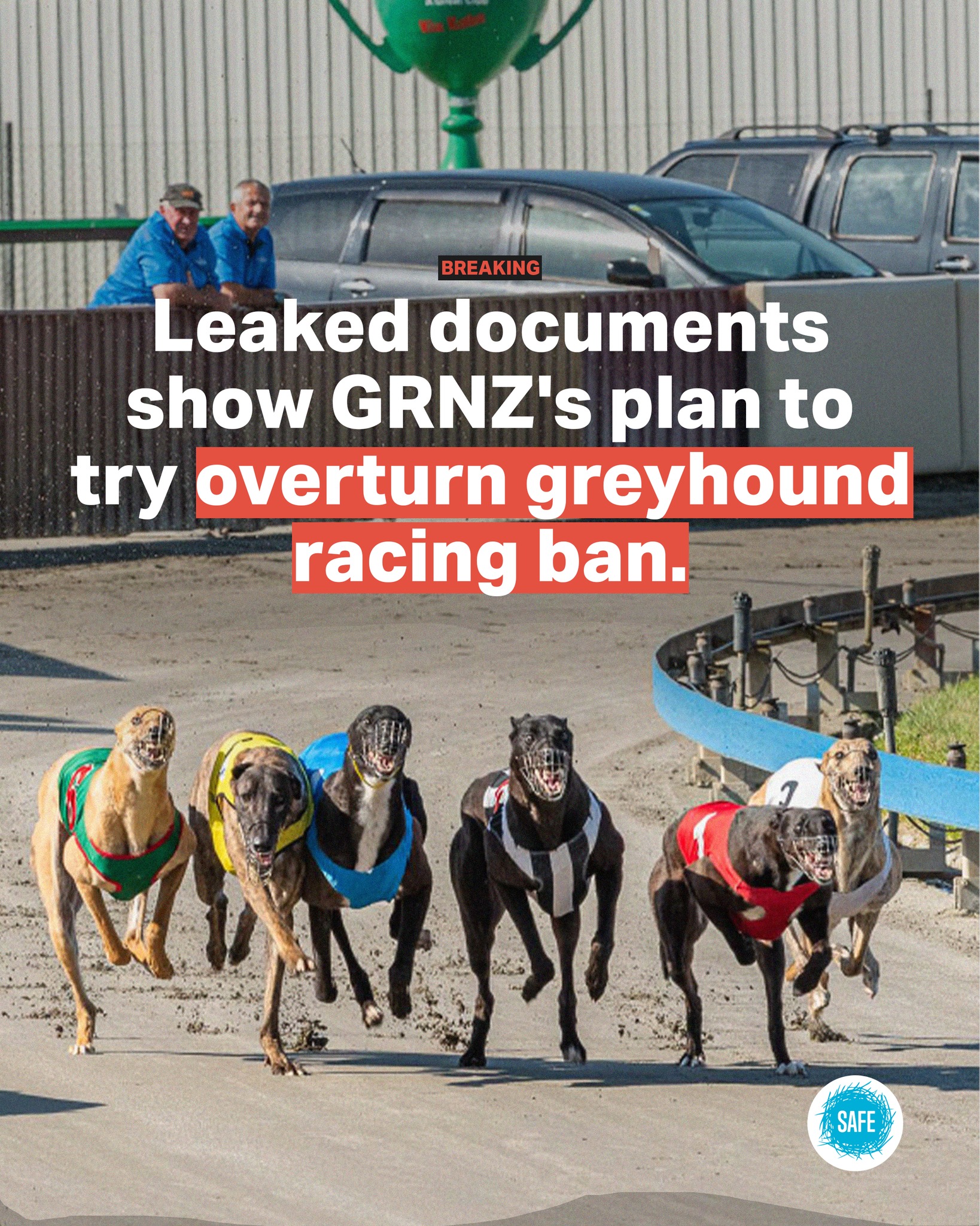 SAFE - UPDATE: Leaked documents have uncovered Greyhound Racing New ...