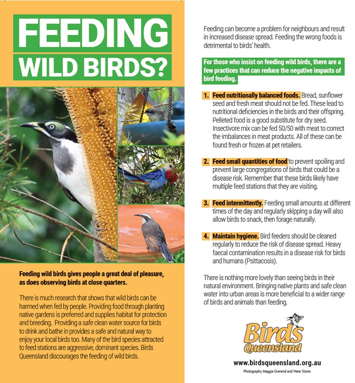 New Flyer – Feeding Wild Birds? There... - Birds Queensland | Facebook