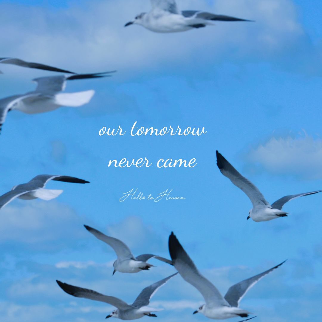 Hello To Heaven - our tomorrow never came the future we...