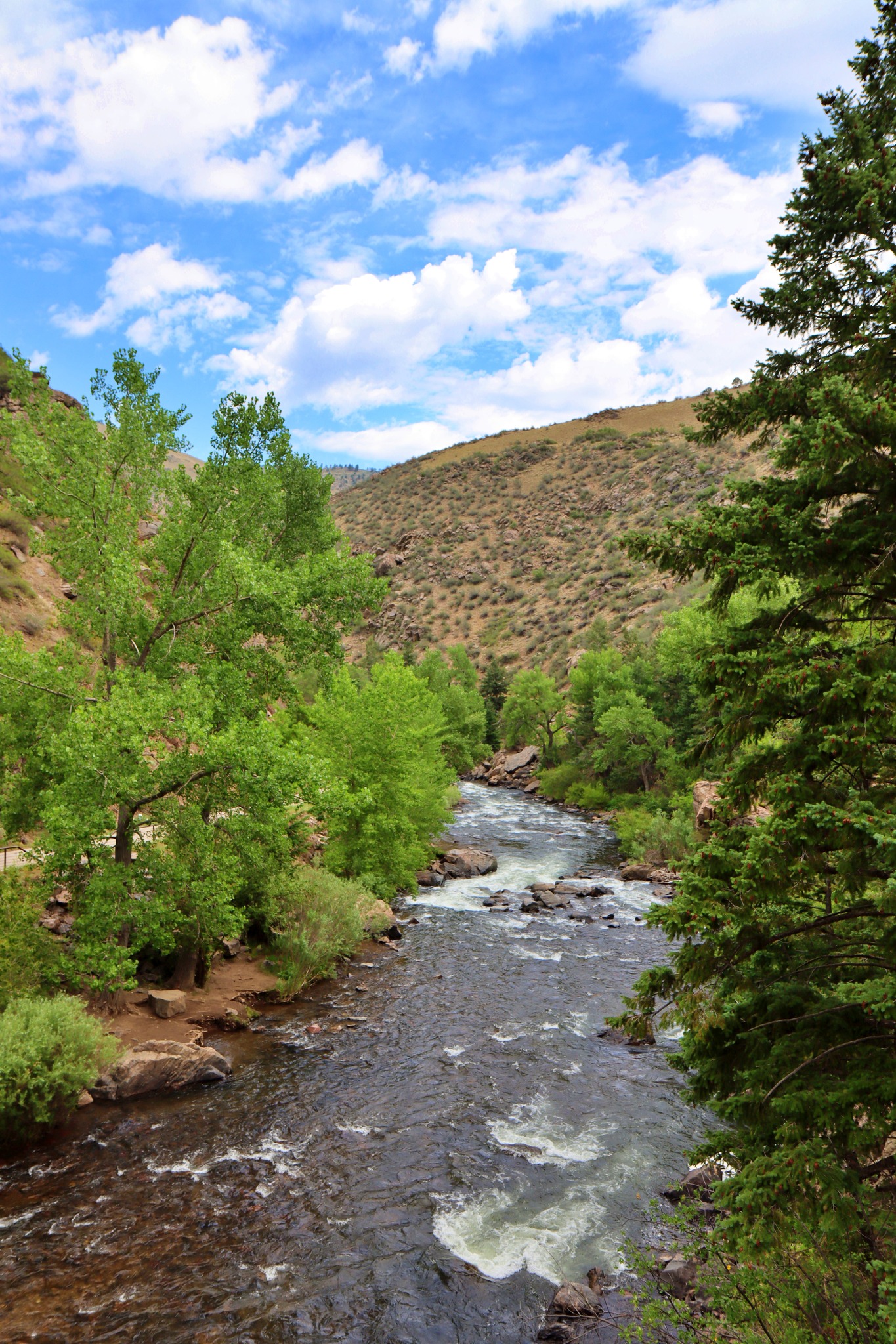 Clear Creek, Golden