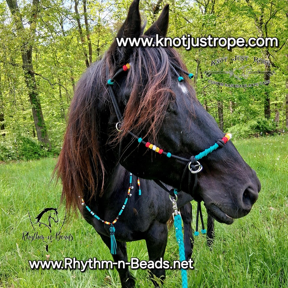 Knot Just Rope - Knot Just Rope's adjustable o-ring sidepull bitless ...