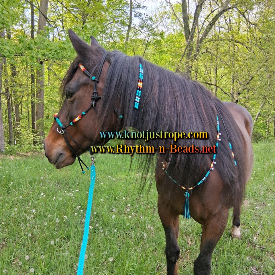 MINIATURE HORSE / SM PONY BAREBACK SADDLE PAD SET - TURQUOISE SW - CINCH