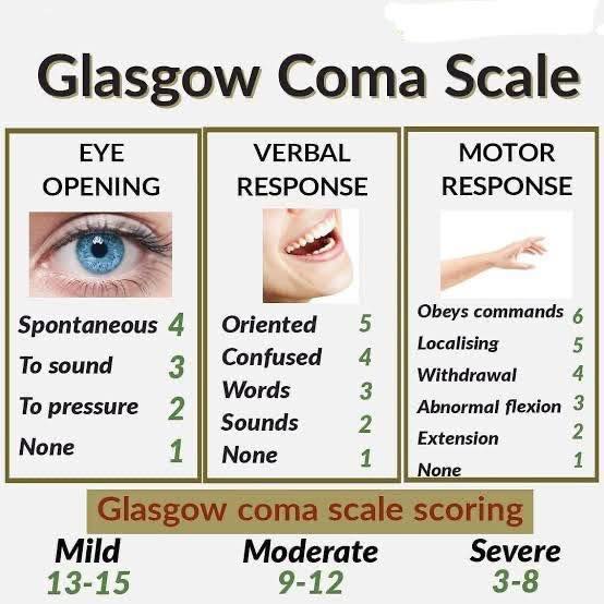 Medical - Glasgow Coma Scale Made Simple: Quick Guide to Assess ...