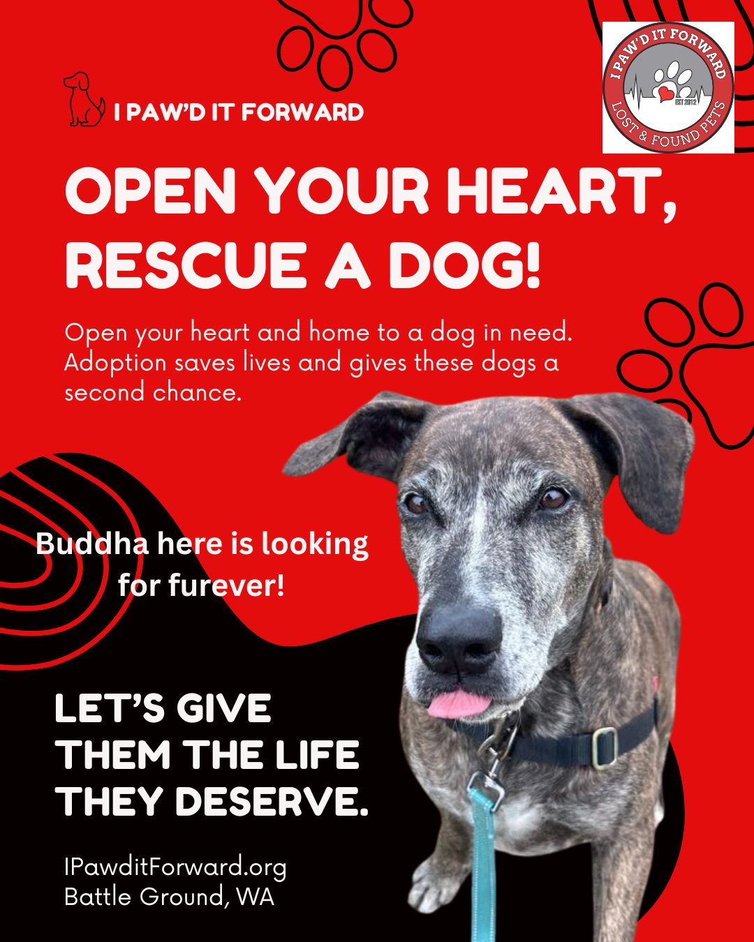 I Paw'd It Forward | Battle Ground WA