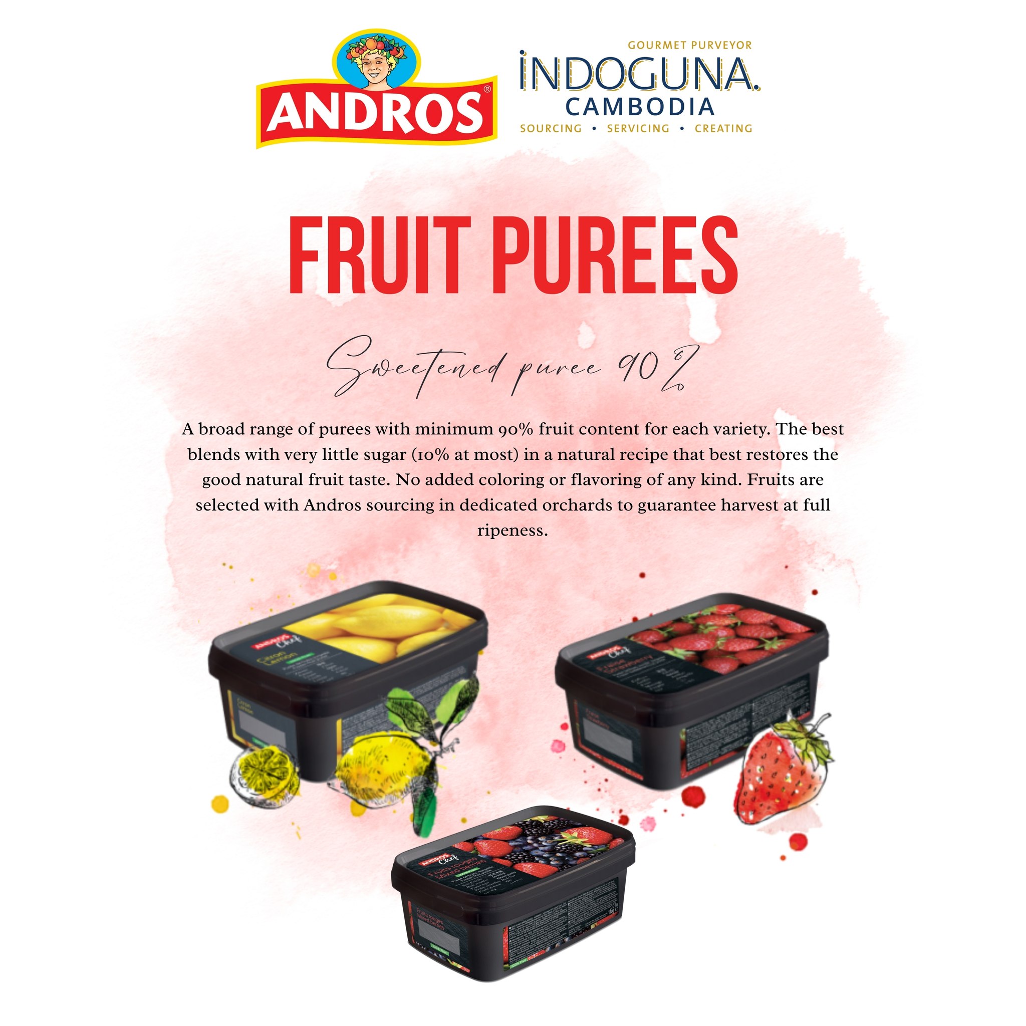 Indoguna - 🍓 Pure Fruit Goodness in Every Scoop! 🍋 Discover the vibrant ...