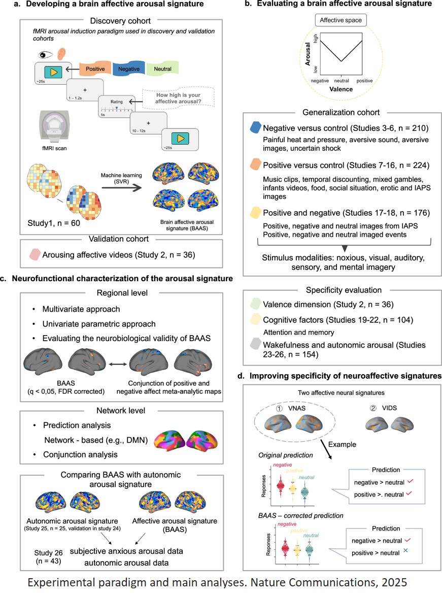 Science - How the brain constructs emotional experiences Using a ...