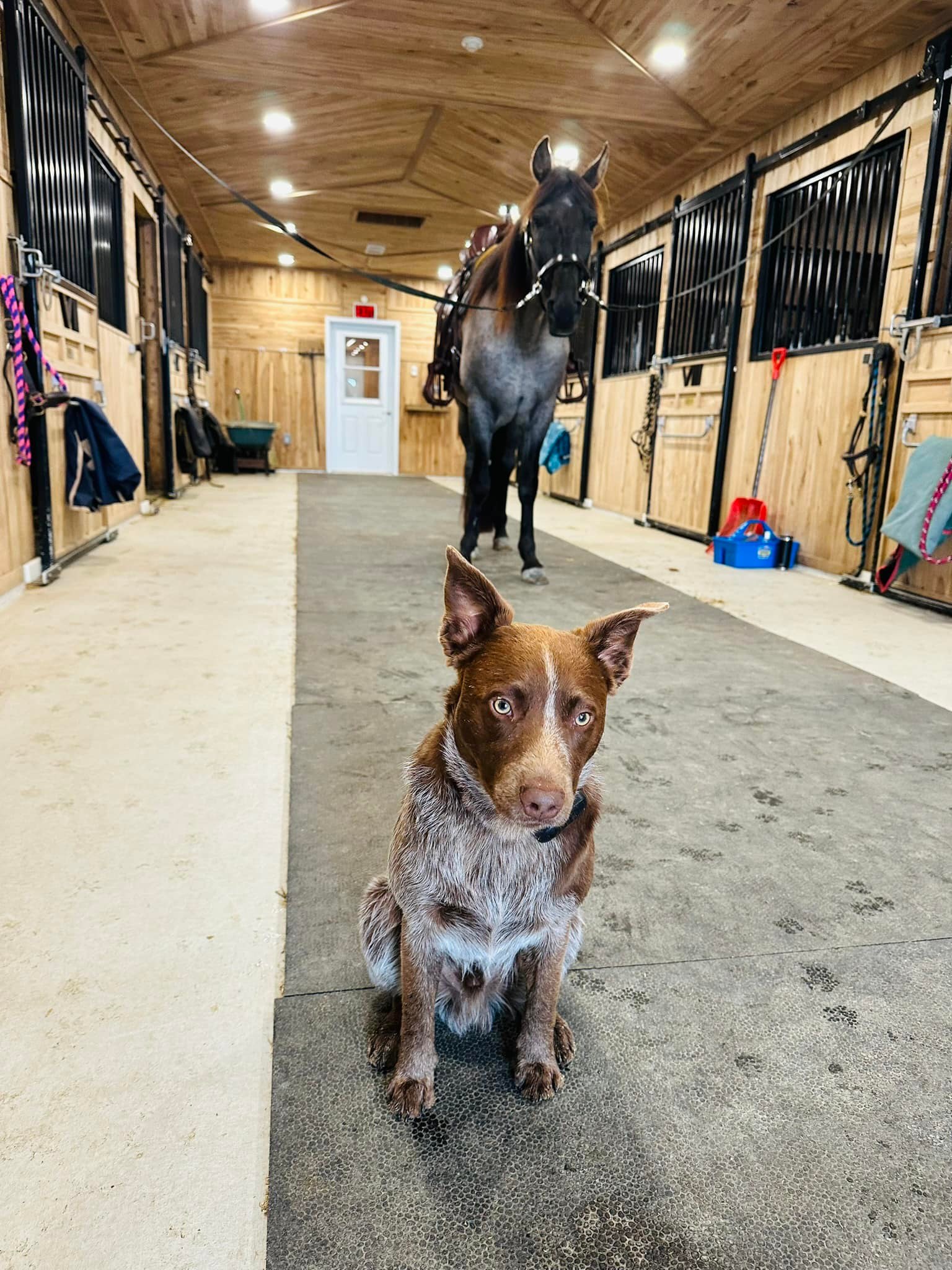 Four Crows Ranch