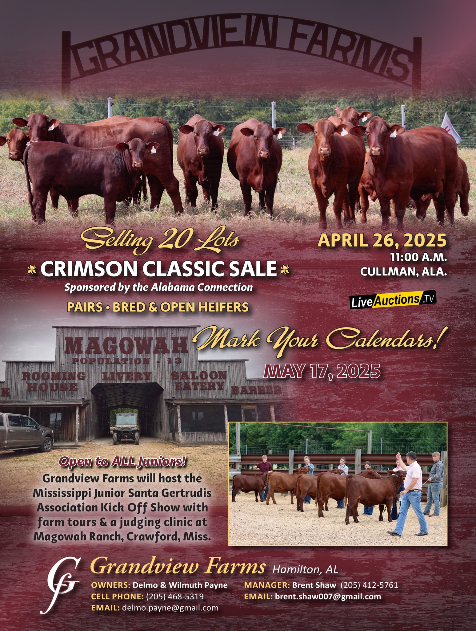 Santa Gertrudis Breeders International - Red Doc Farm | Facebook