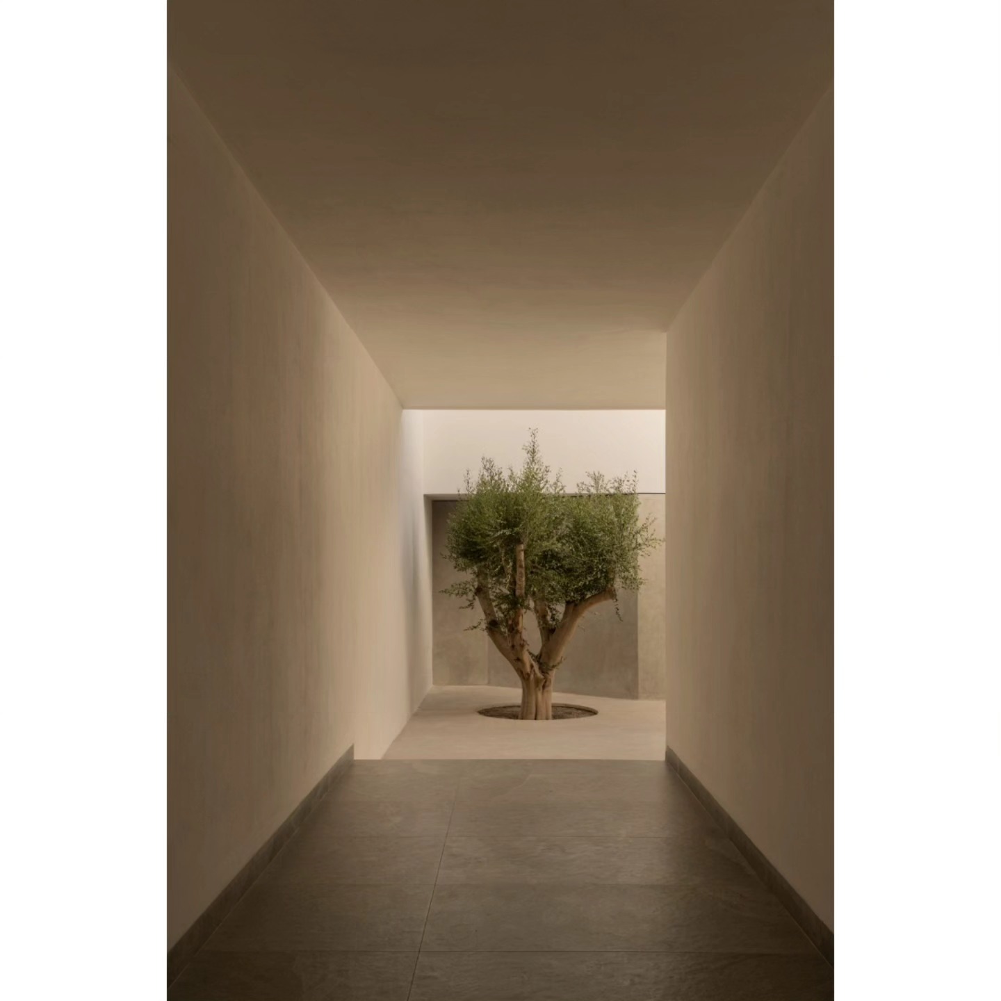 Lcr - Casa Ápice / Tres Marías, Morelia Más información pronto # ...