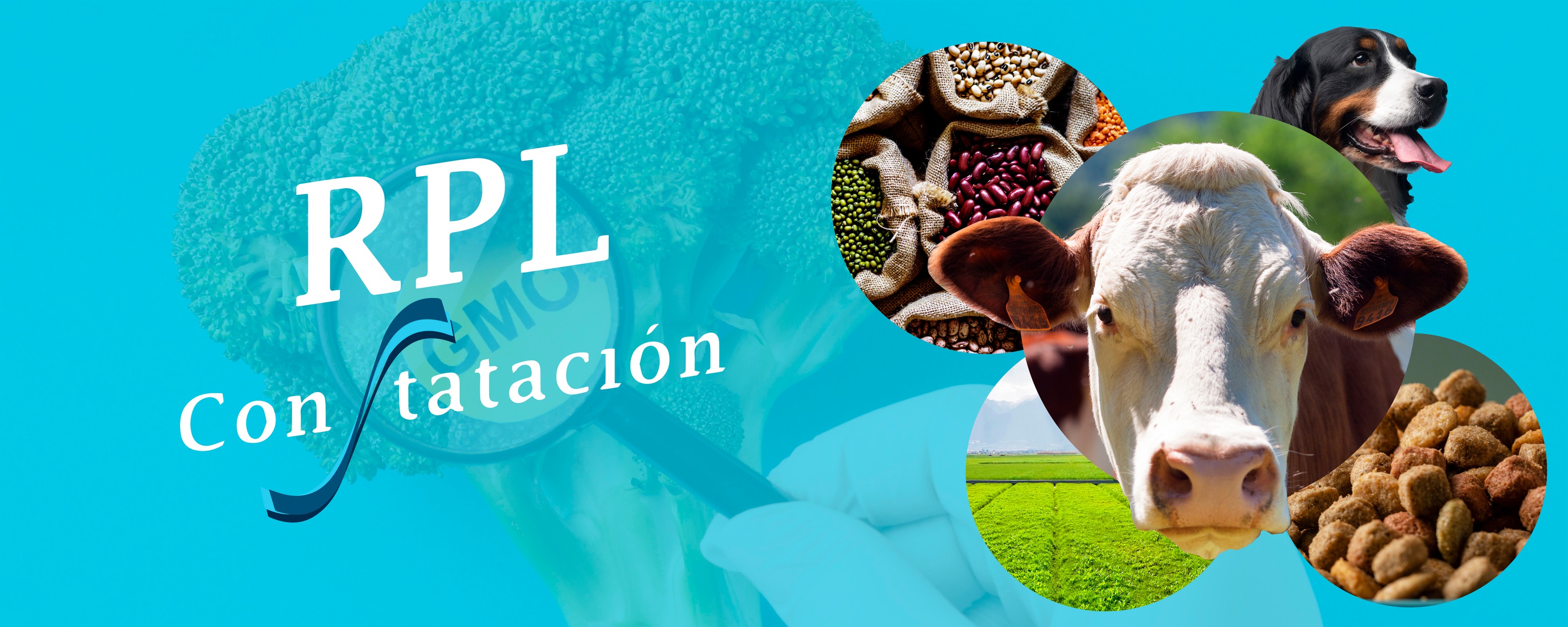 RPL Constatación S de RL de CV