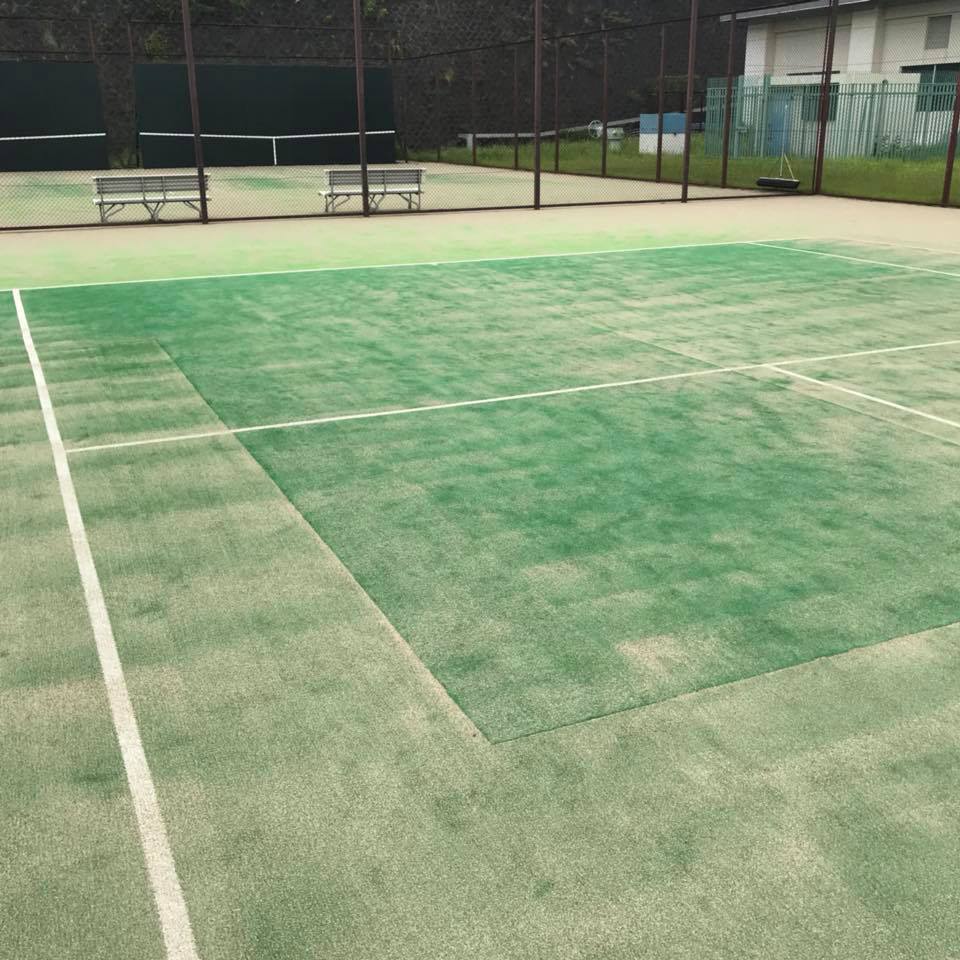 小雀 公園 テニス コート