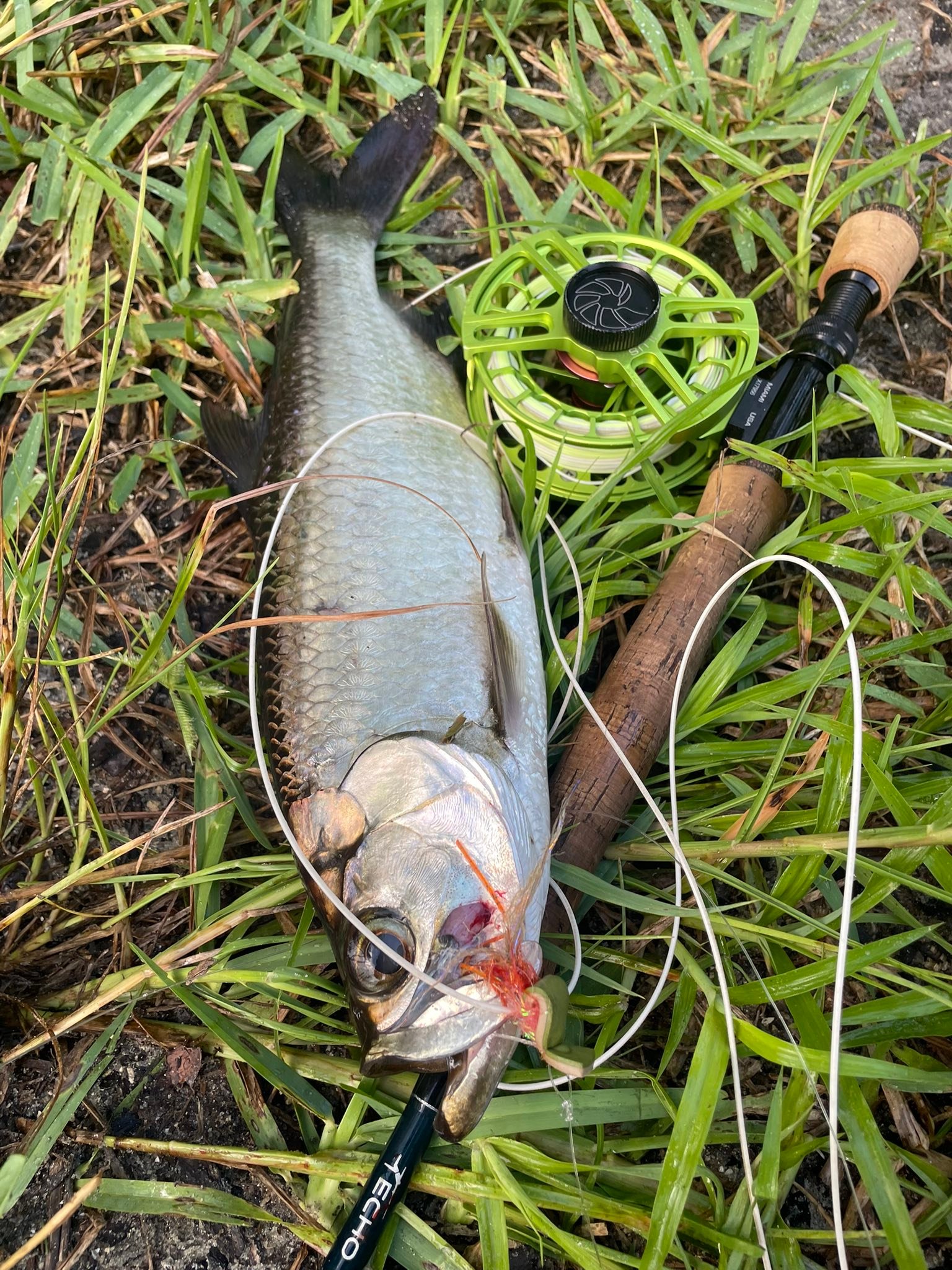 fishing rod holder bank BIG FISH : Sports & Outdoors PE Braid Best Fishing Rod Holders Color:S&P Silver Phantom/Chart Tail portable fishing pole stand