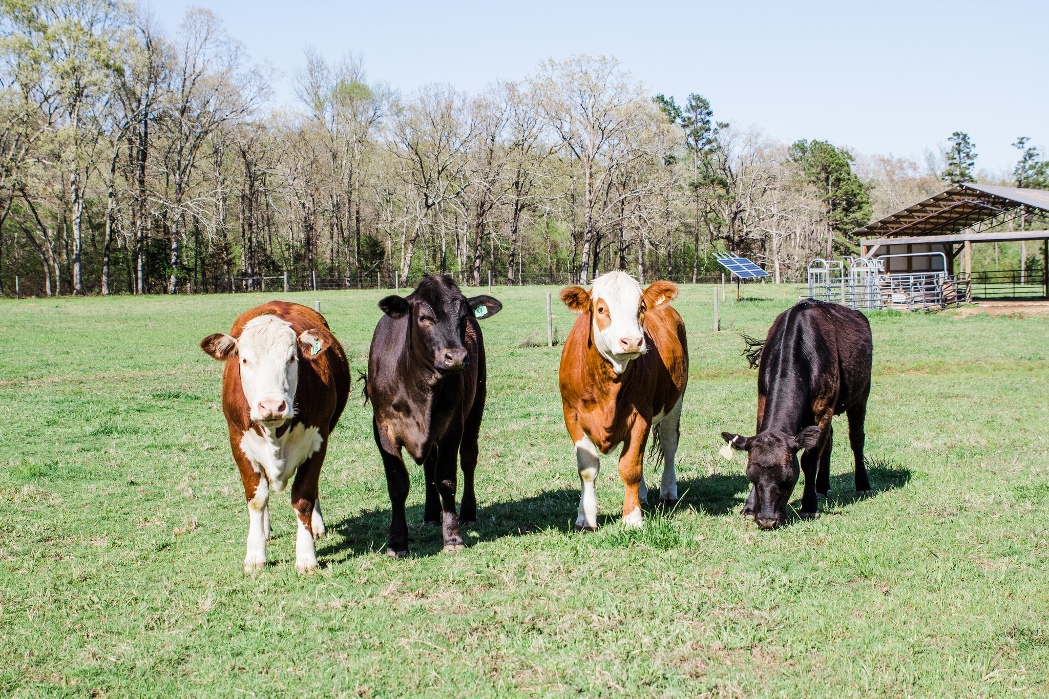 Double B Ranch