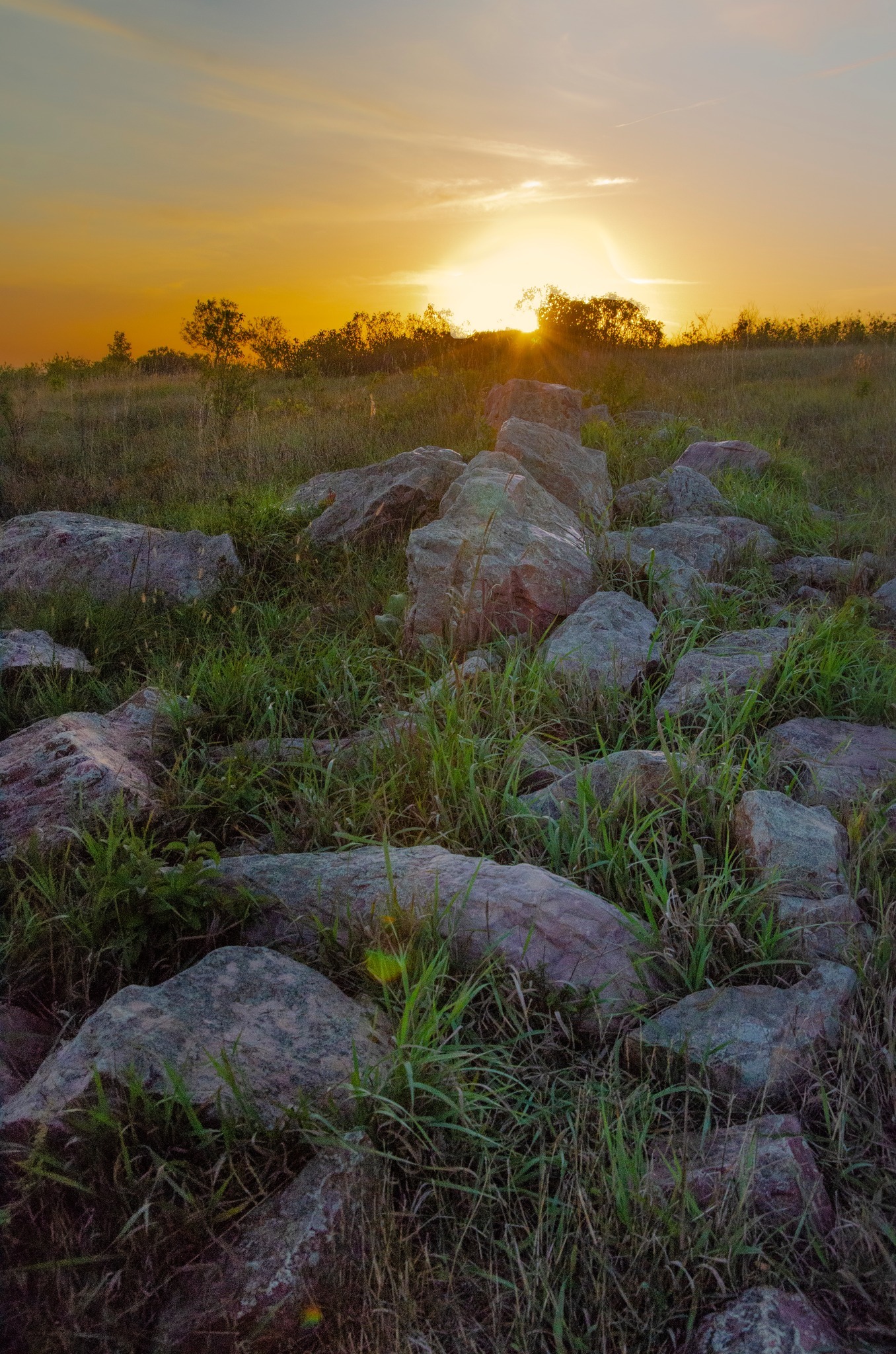 Minnesota - Huzzah! Today marks the first day of spring 🌷☀ How will you ...