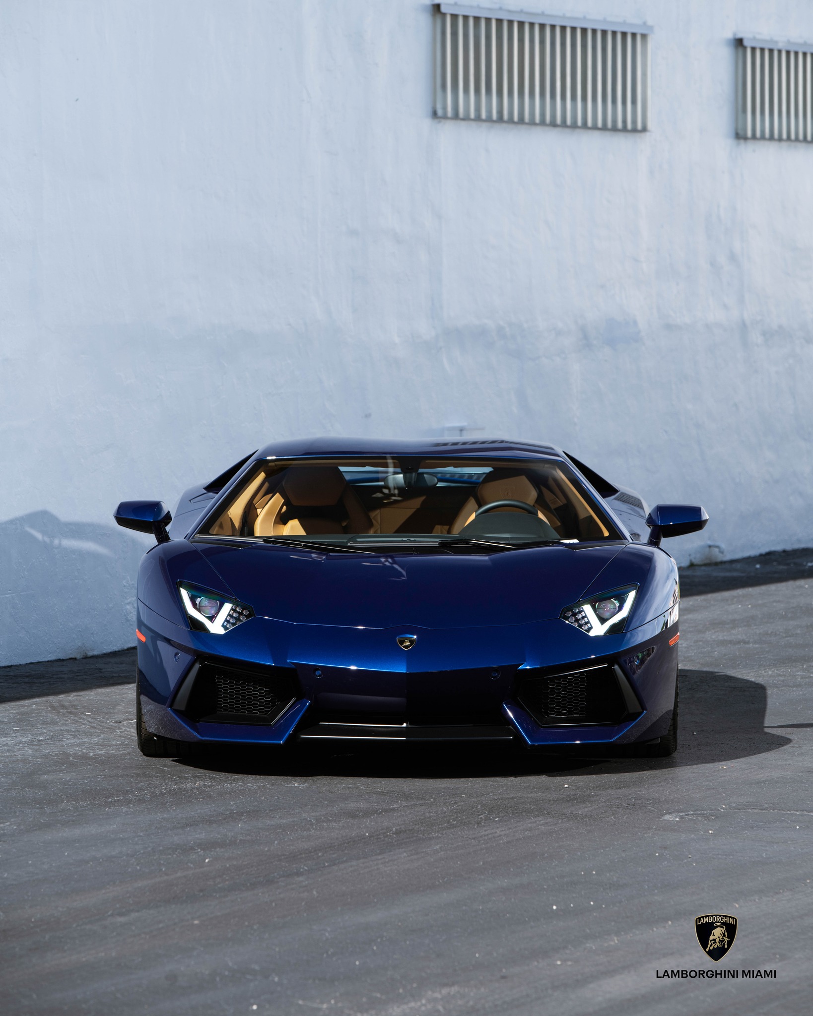 Stare Into the Eyes of the Raging Bull. The Metallic Blu Hera