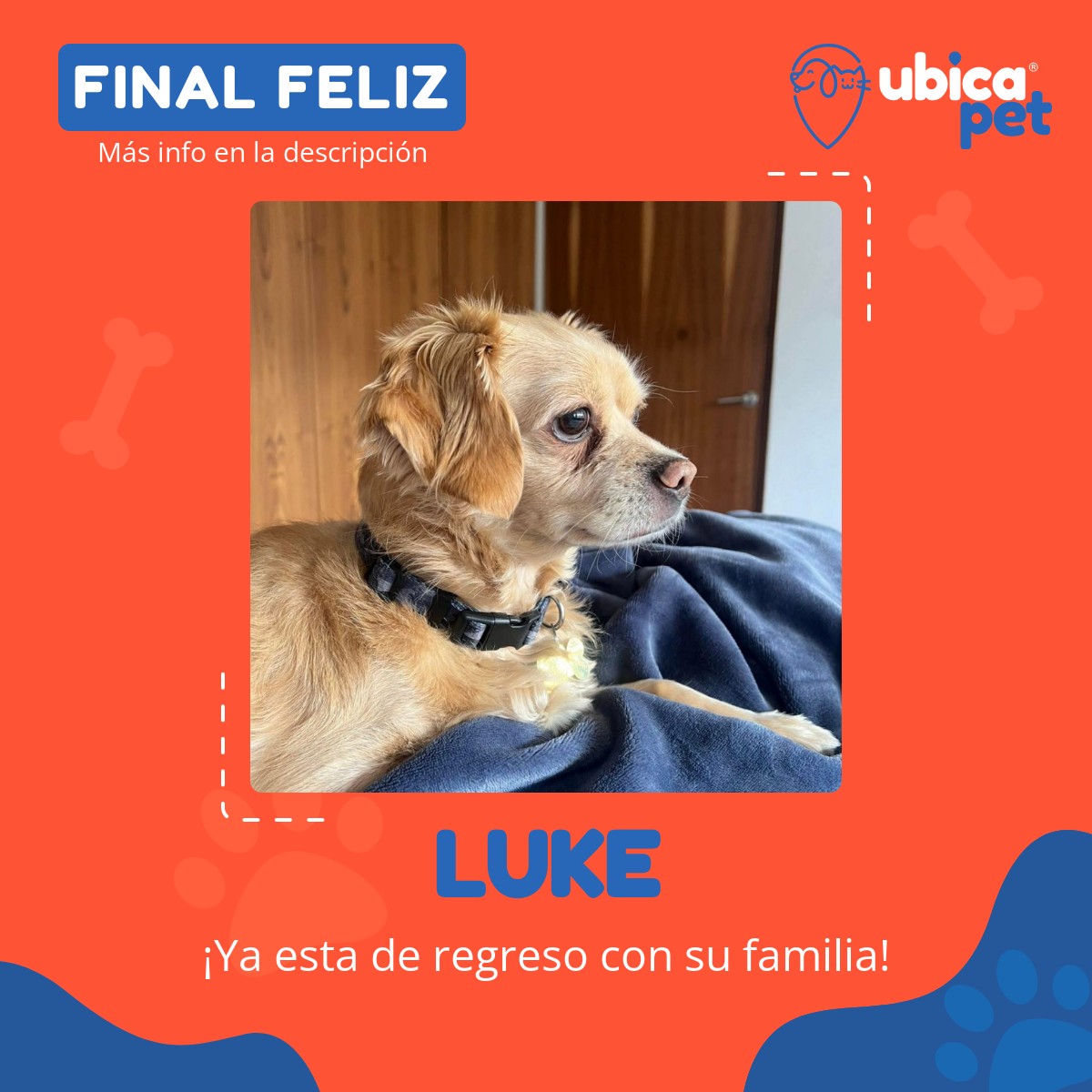Ubicapet - 🟢 FINAL FELIZ 🟢 ¡Ya esta de regreso con su familia! 👉 Más ...