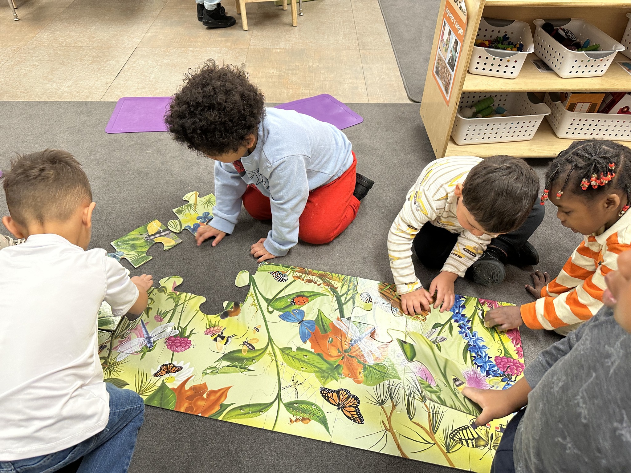 Early Childhood Education Collaborative
