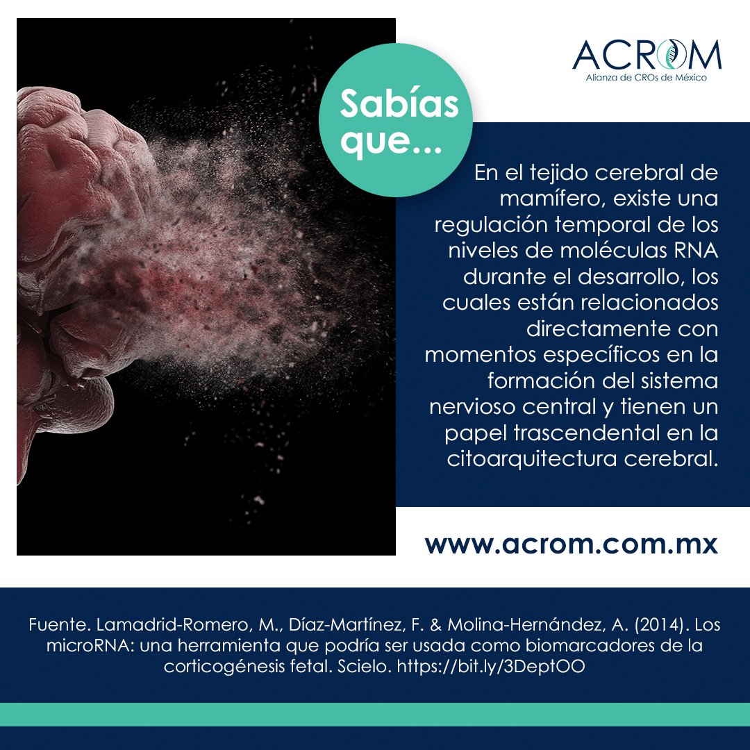 Sabías que… Los... - Alianza de CROs de Mexico - ACROM | Facebook