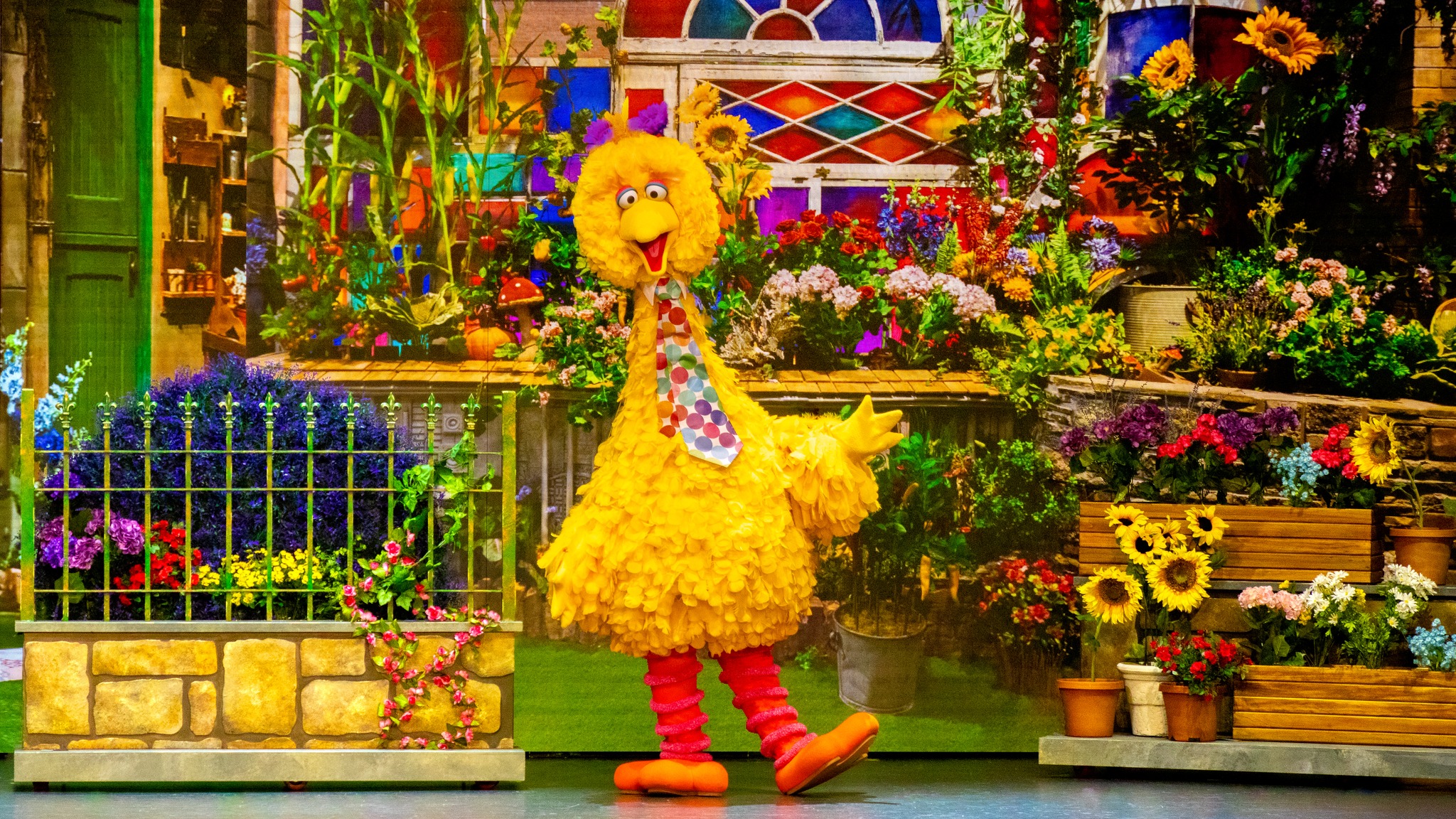 Five - 🎉 Sesame Street Live! Say Hello 🎉 Elmo, Abby Cadabby, Cookie ...
