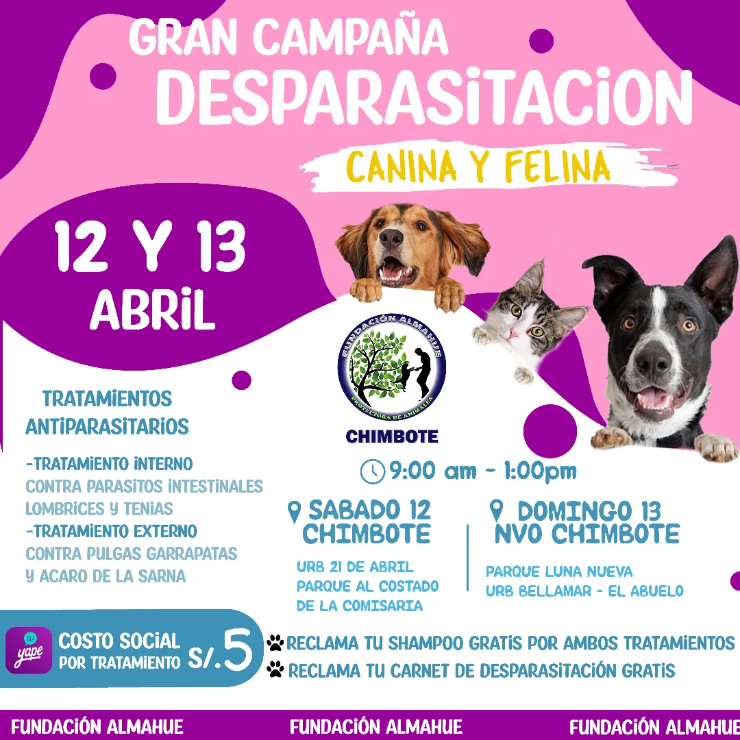 Fundación Almahue Chimbote - 💉CAMPAÑA DE DESPARASITACIÓN PARA PERROS Y ...