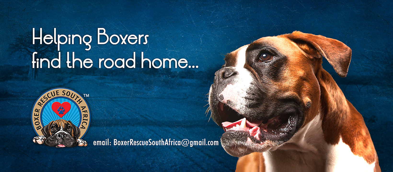 Boxer Rescue South Africa