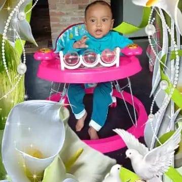 Saiful Saiful