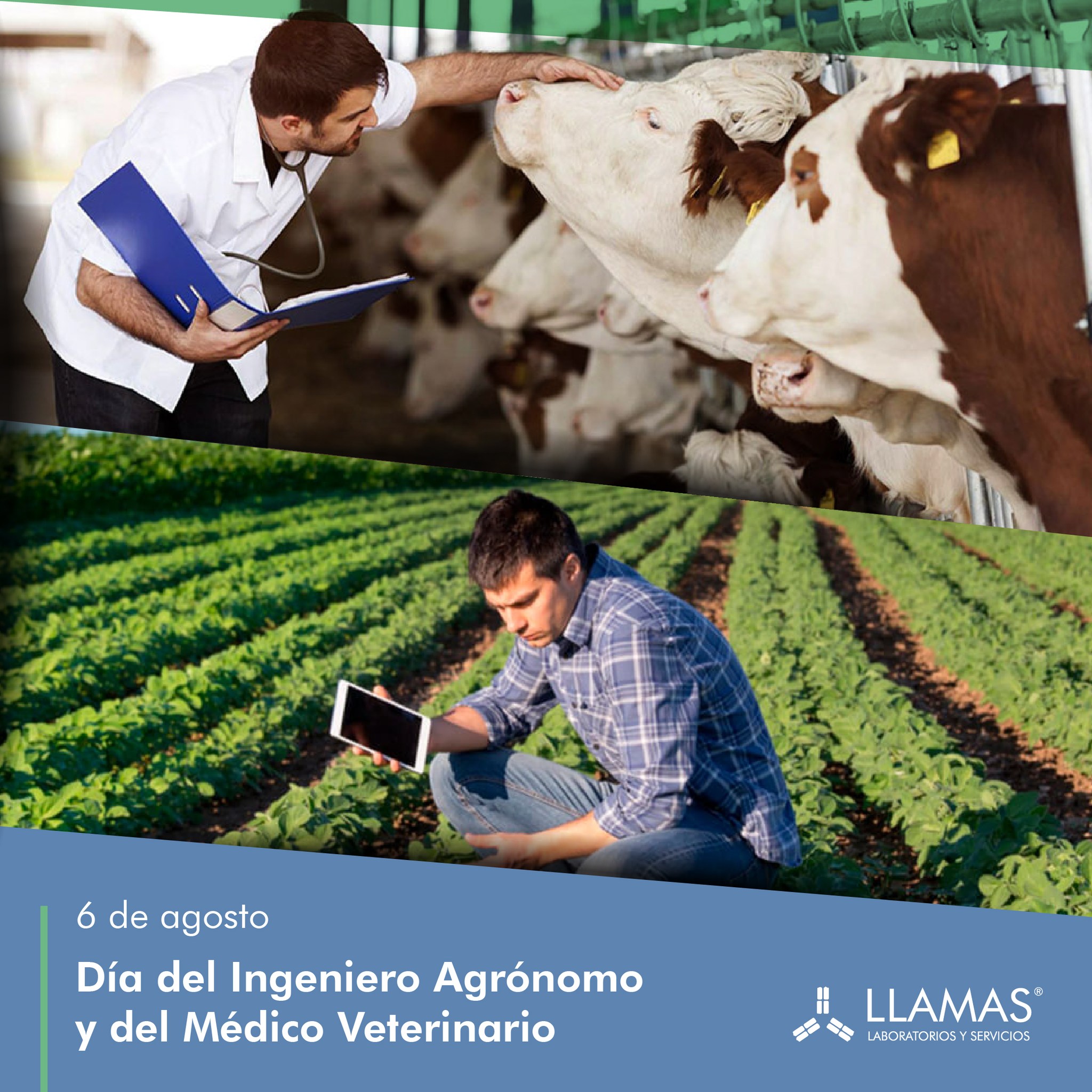 🗓️06 de agosto | Día del... - Llamas Laboratorios y Servicios