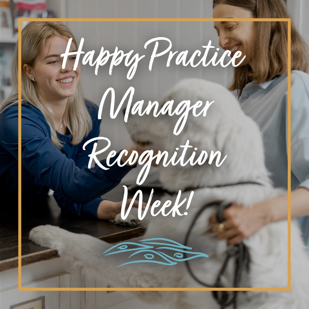 Animal Dermatology Clinic Greenville - Happy Practice Manager ...