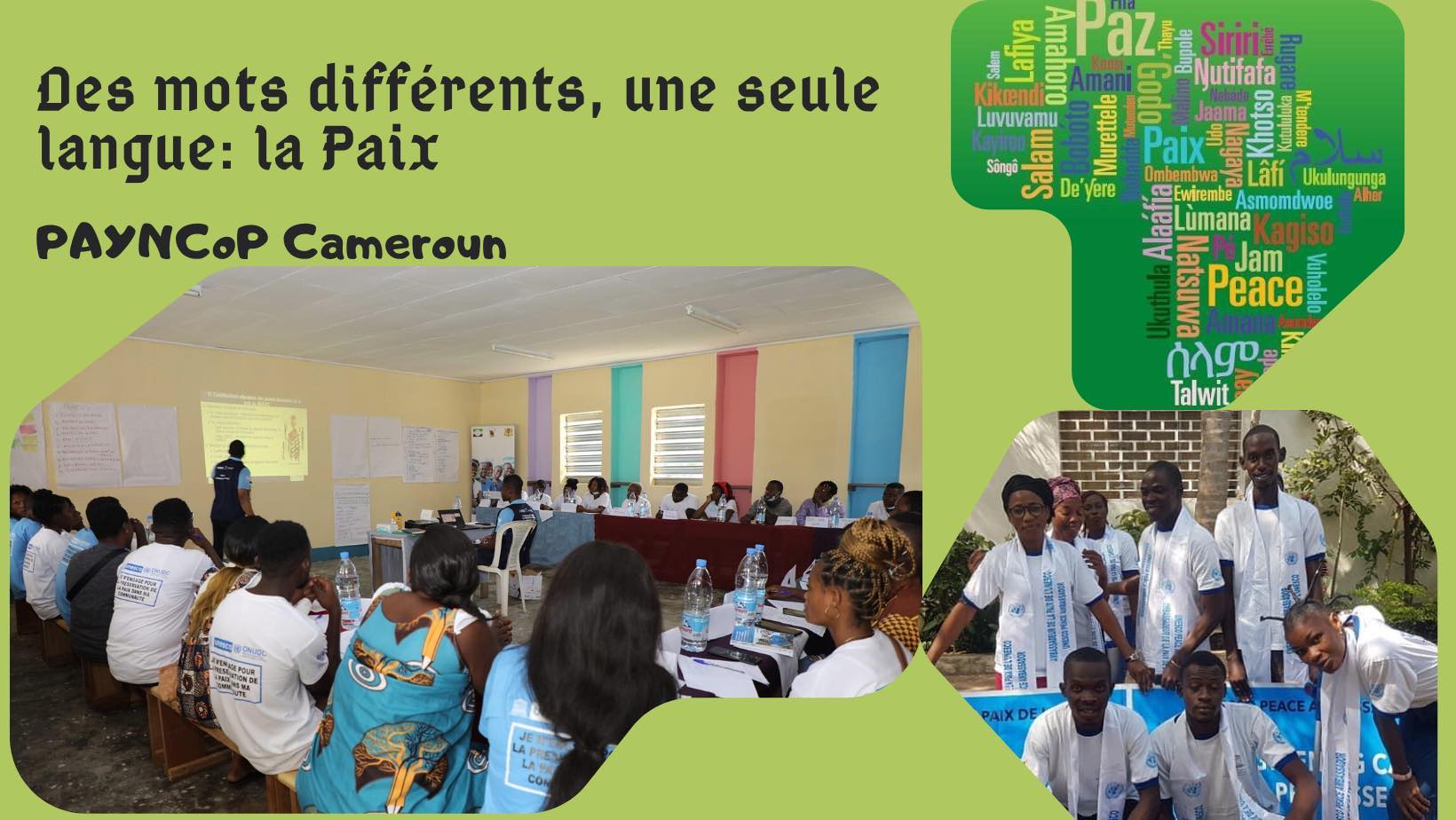 PAYNCoP Cameroun | Yaoundé