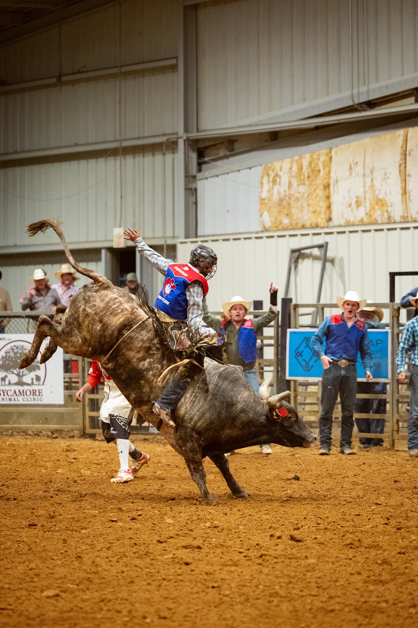 BuckWild Bucking Stock | Senatobia MS
