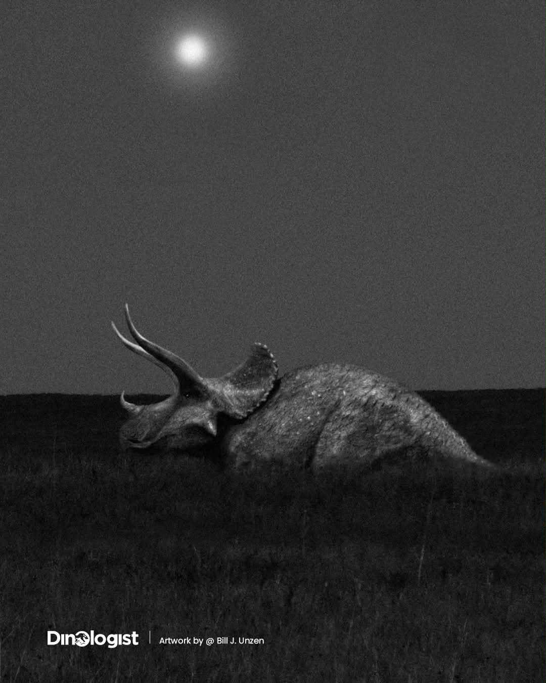Triceratops | Under the Moonlight A lone Triceratops stands