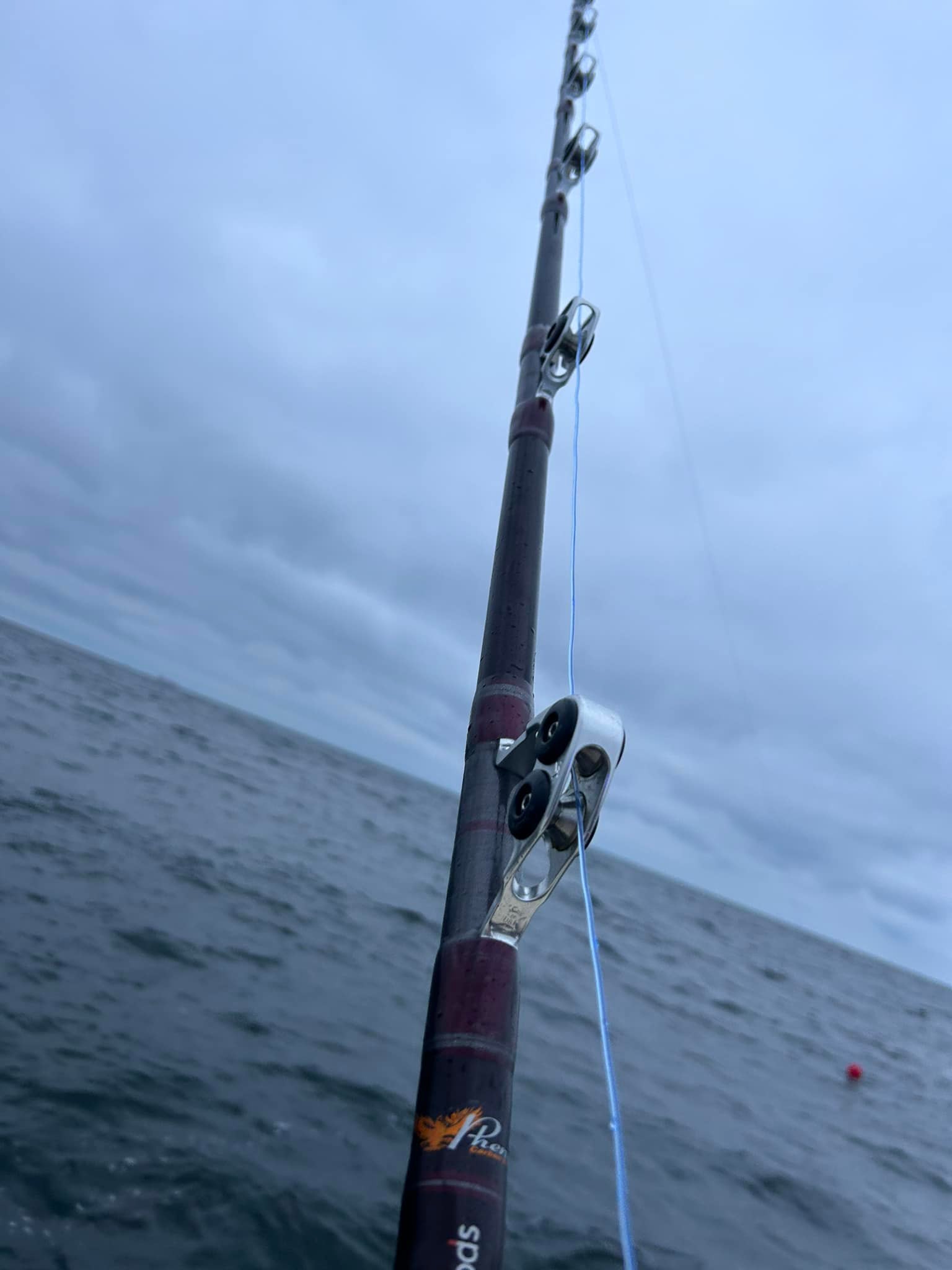 fish eyes rod and reel Fuzion spooled with Stren line Catch More Fish Walleye Spinning
