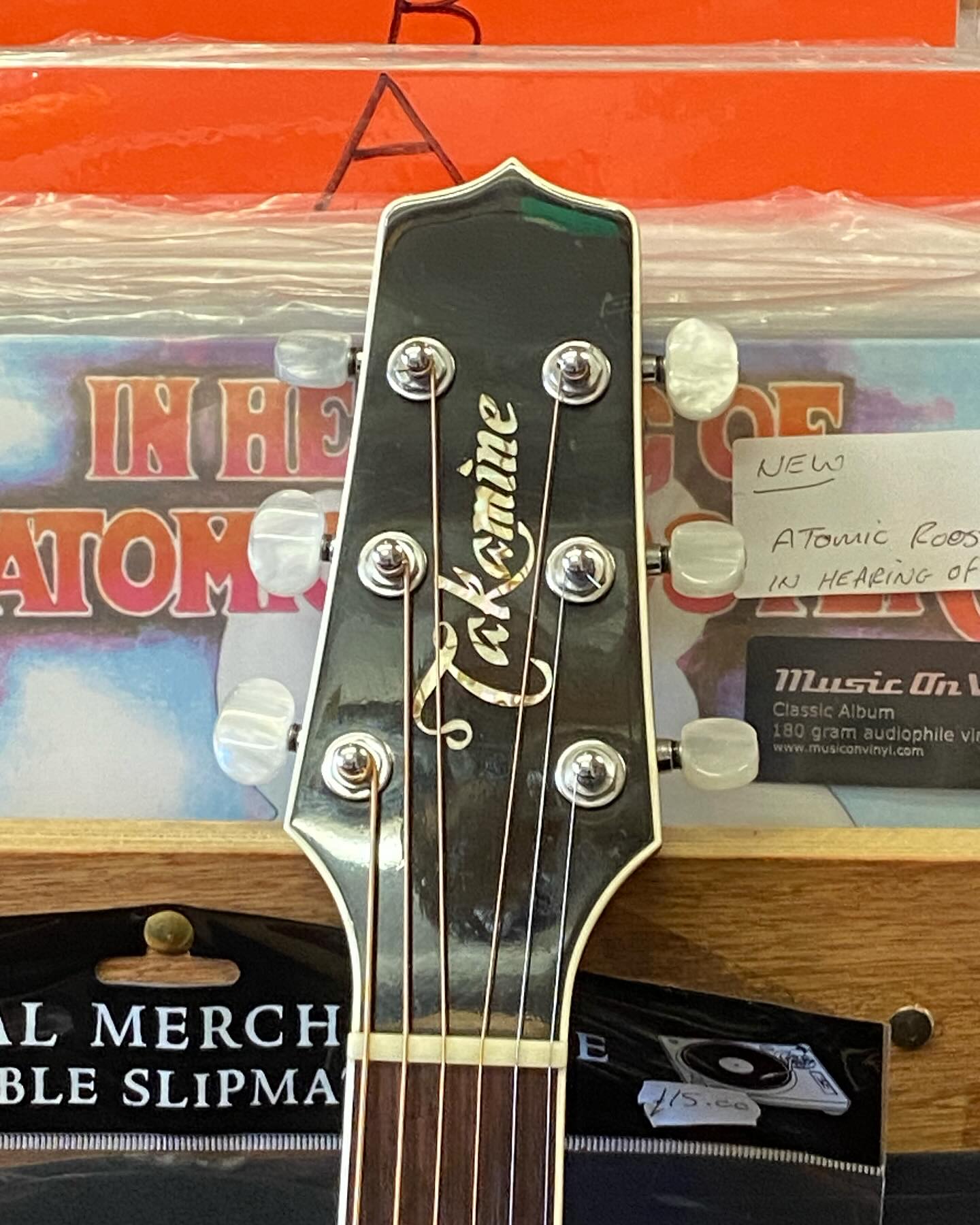 Just in Takamine SW341SC Steve Wariner Signature Series Electro 