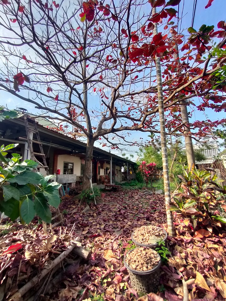 萬金 紅土庄3號 Red clay village homestay | Pingtung