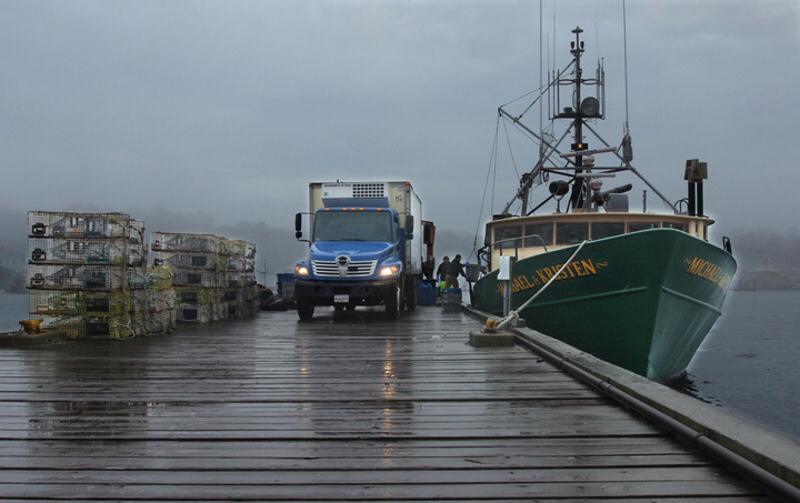 United Shellfish Company, Inc | Grasonville MD