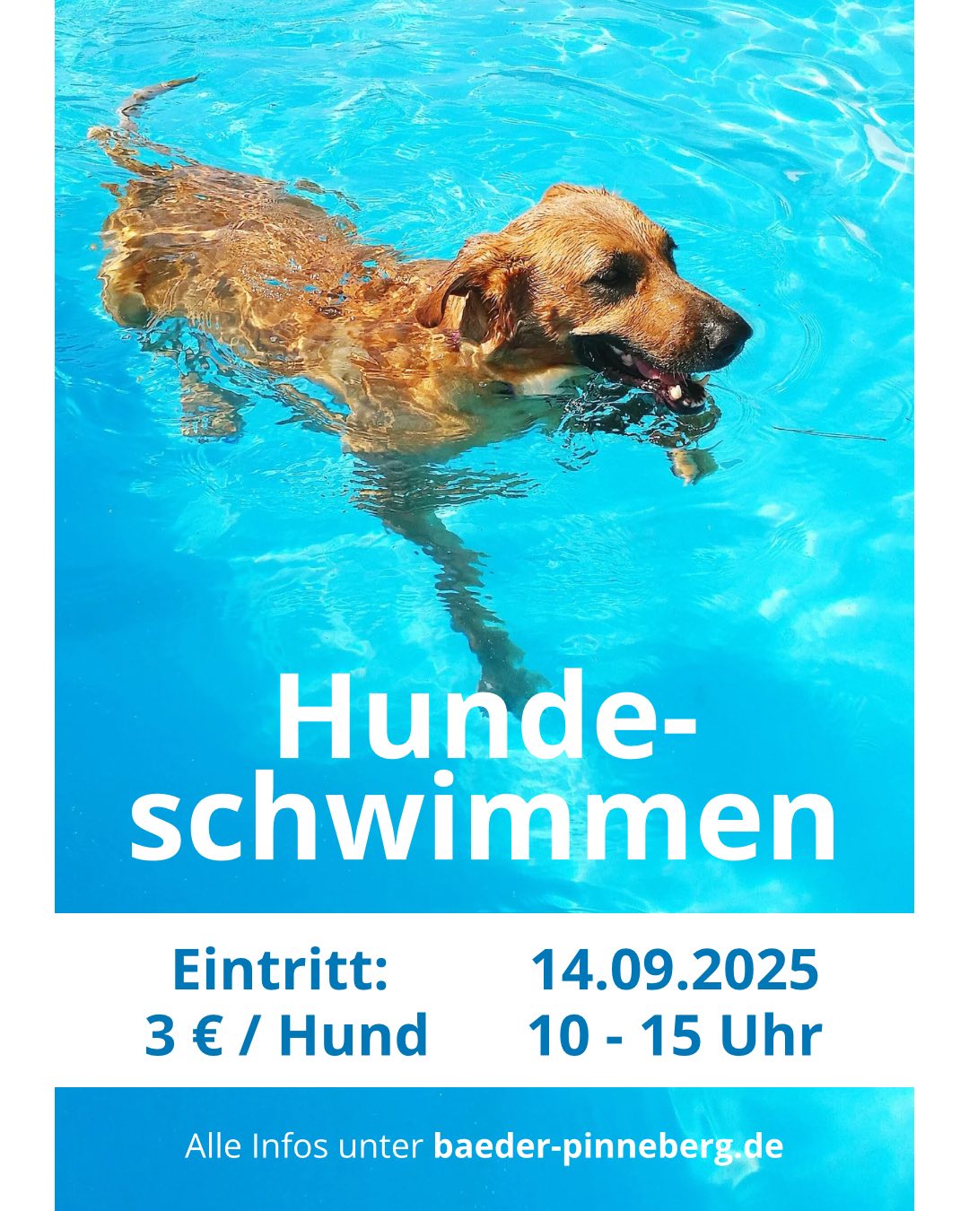 Schwimmbad Pinneberg Preise