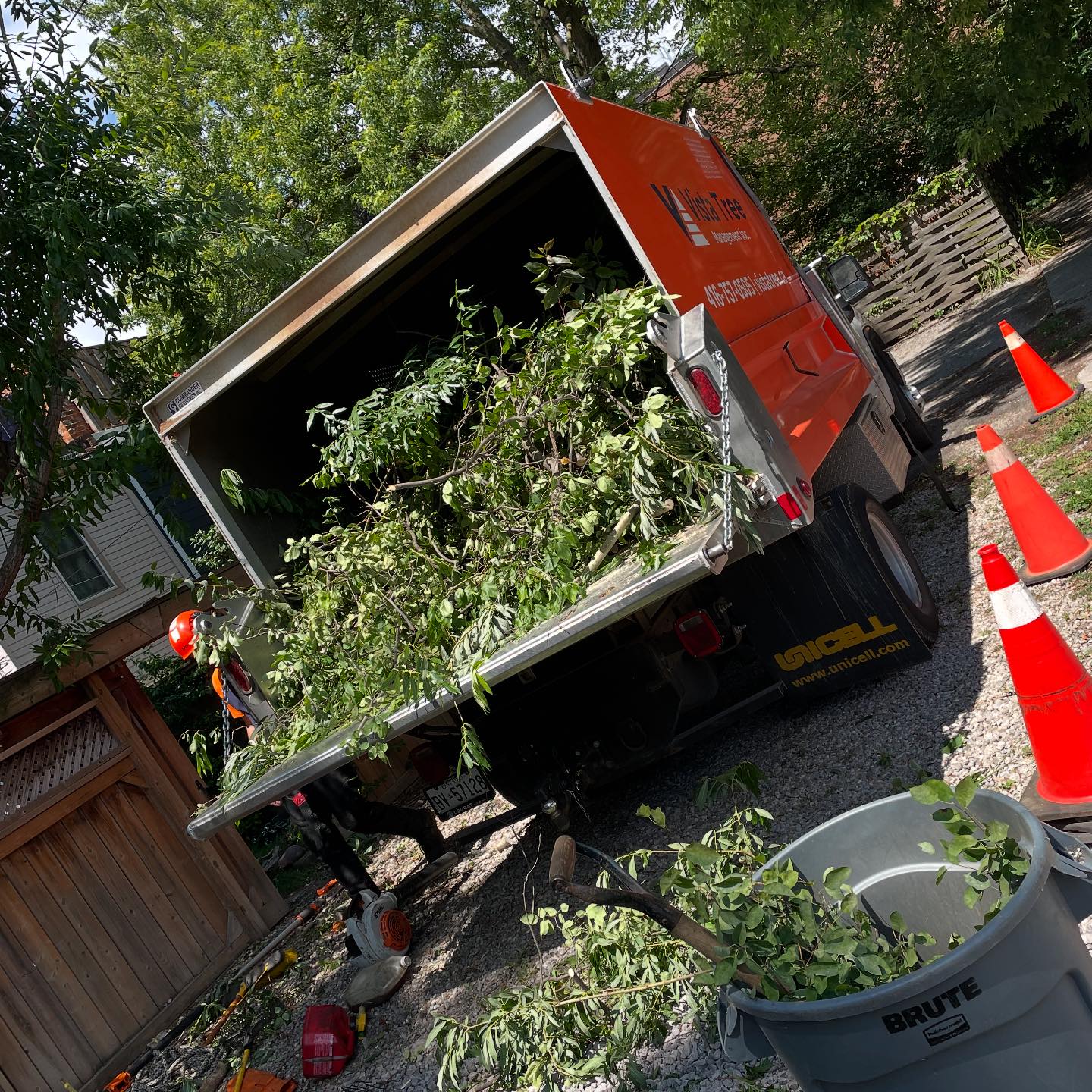 Vista Tree Management | Toronto ON